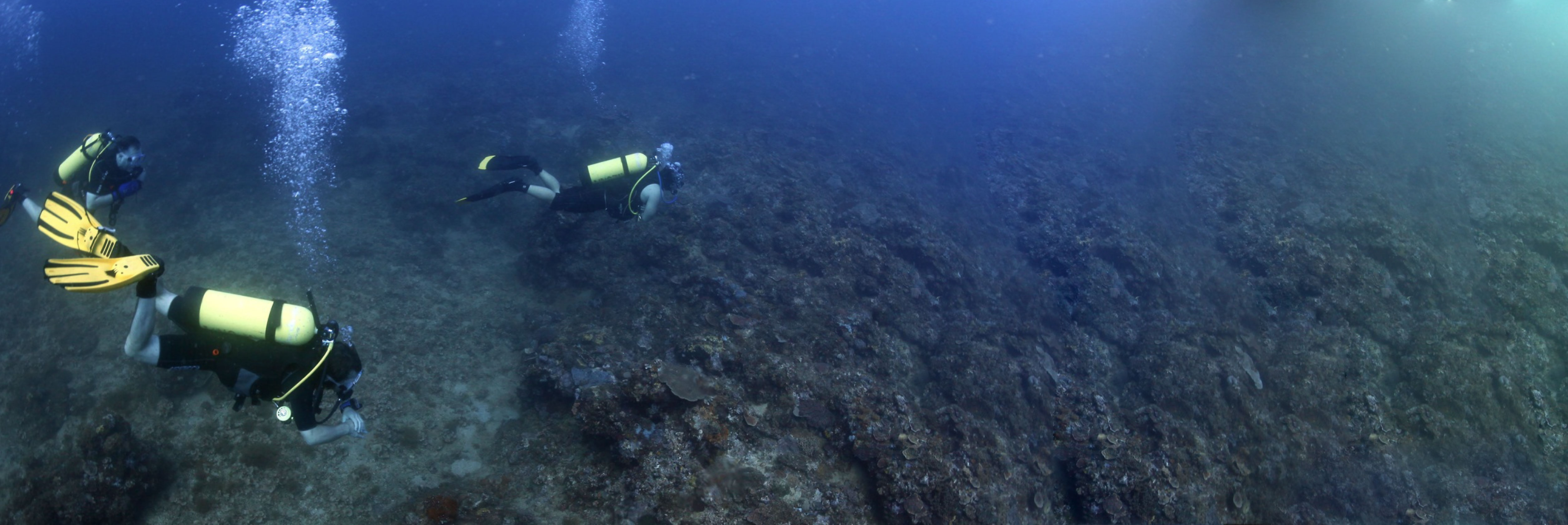 Camayan DIvers