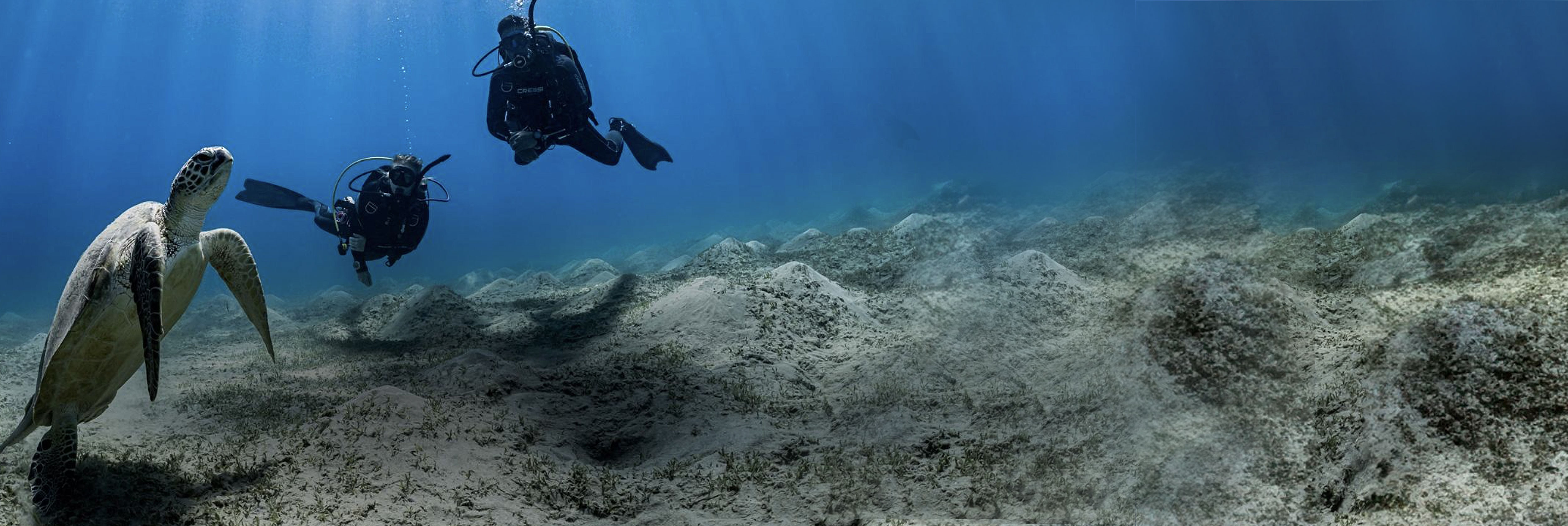 PADI Dive Center Subic