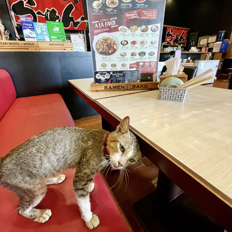 RAMEN BAKU
